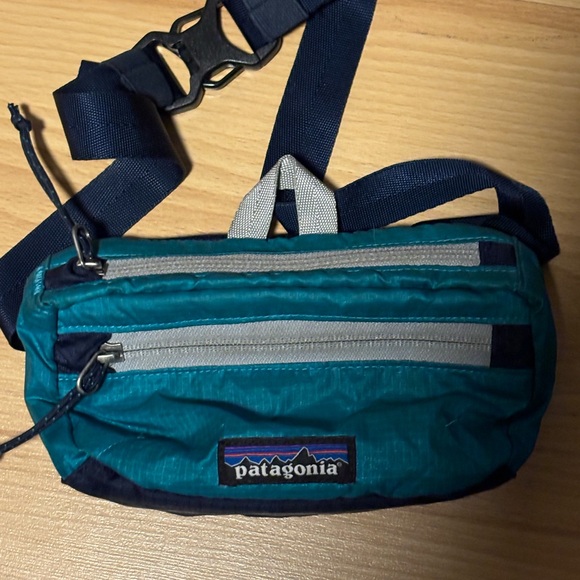 Patagonia Handbags - Patagonia Lightweight Mini Travel Hip pack (aka Terravia mini hip pack)